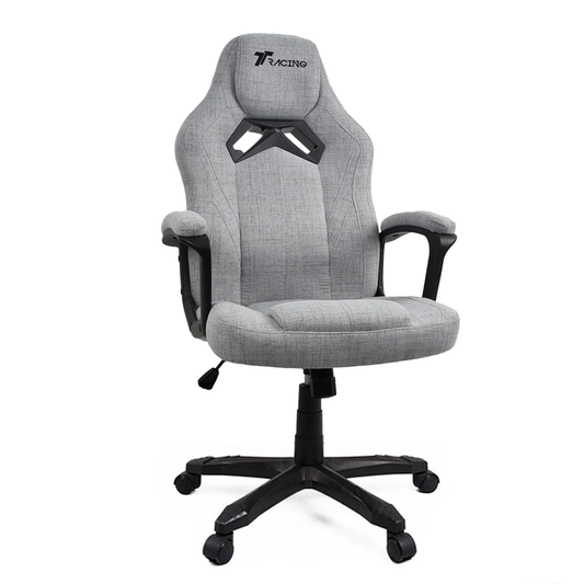 TTRacing Duo V3 Gaming Chair Dawn