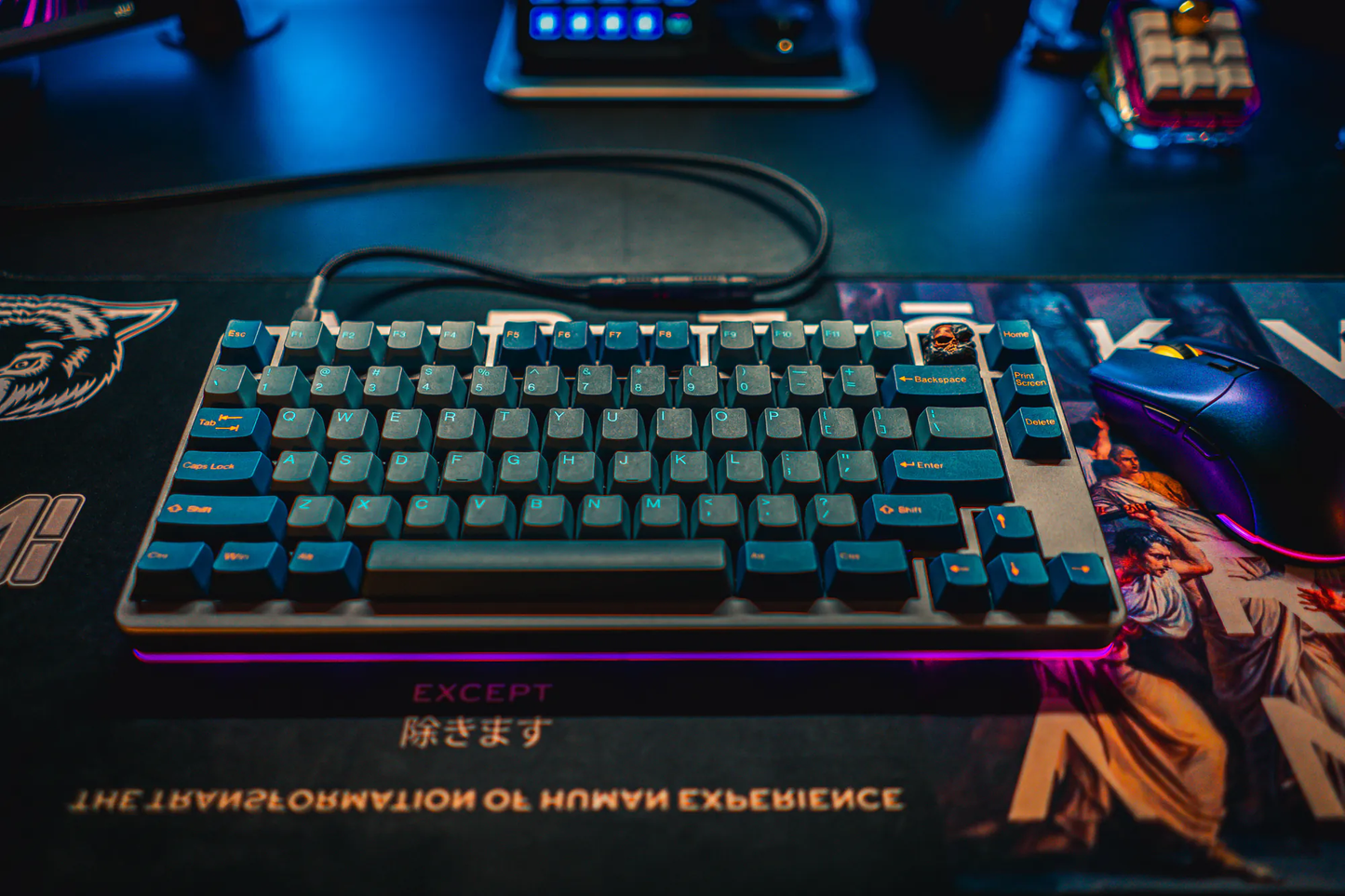 TAI-HAO Double Shot 119 Keycaps Set | PBT | Cubic OEM Profile | US Layout | Cherry MX Switch Types | Keyboard Keycaps (Dark Tunnel)