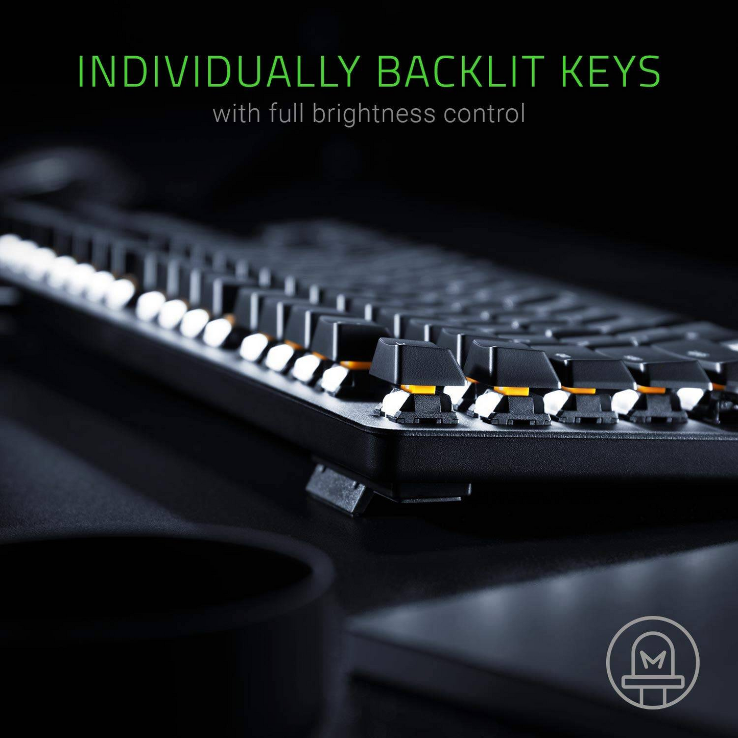 RAZER BlackWidow Lite | Silent Mechanical Switches | Individually Backlit Keys | Compact Form Factor | Programmable Keys | Configurable via Razer Synapse 3 | Wired RGB Gaming Keyboard