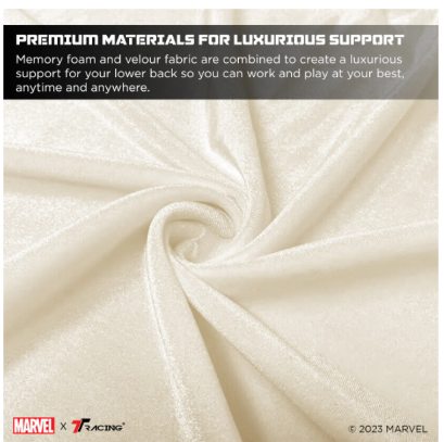 TTRacing L Size Memory Foam Lumbar Pillow with Cooltec Gel (Groot Edition)