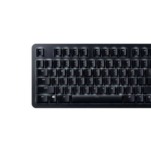 RAZER BlackWidow Lite | Silent Mechanical Switches | Individually Backlit Keys | Compact Form Factor | Programmable Keys | Configurable via Razer Synapse 3 | Wired RGB Gaming Keyboard