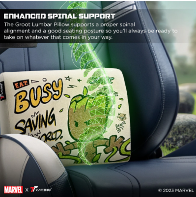 TTRacing L Size Memory Foam Lumbar Pillow with Cooltec Gel (Groot Edition)
