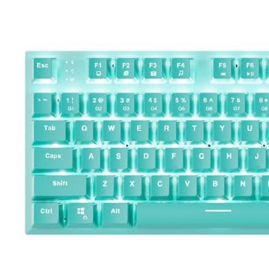 FANTECH MK856 MAXFIT87 | Mechanical Switches | 87 Keys | Full Key Anti-Ghosting | 22 Gradient RGB Modes | Programmable Macro Wired RGB Gaming Keyboard (Mint Edition)