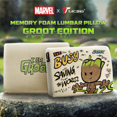TTRacing L Size Memory Foam Lumbar Pillow with Cooltec Gel (Groot Edition)