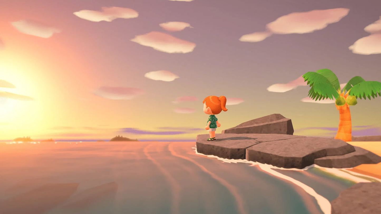 Nintendo Switch Animal Crossing: New Horizons (Asia / English)