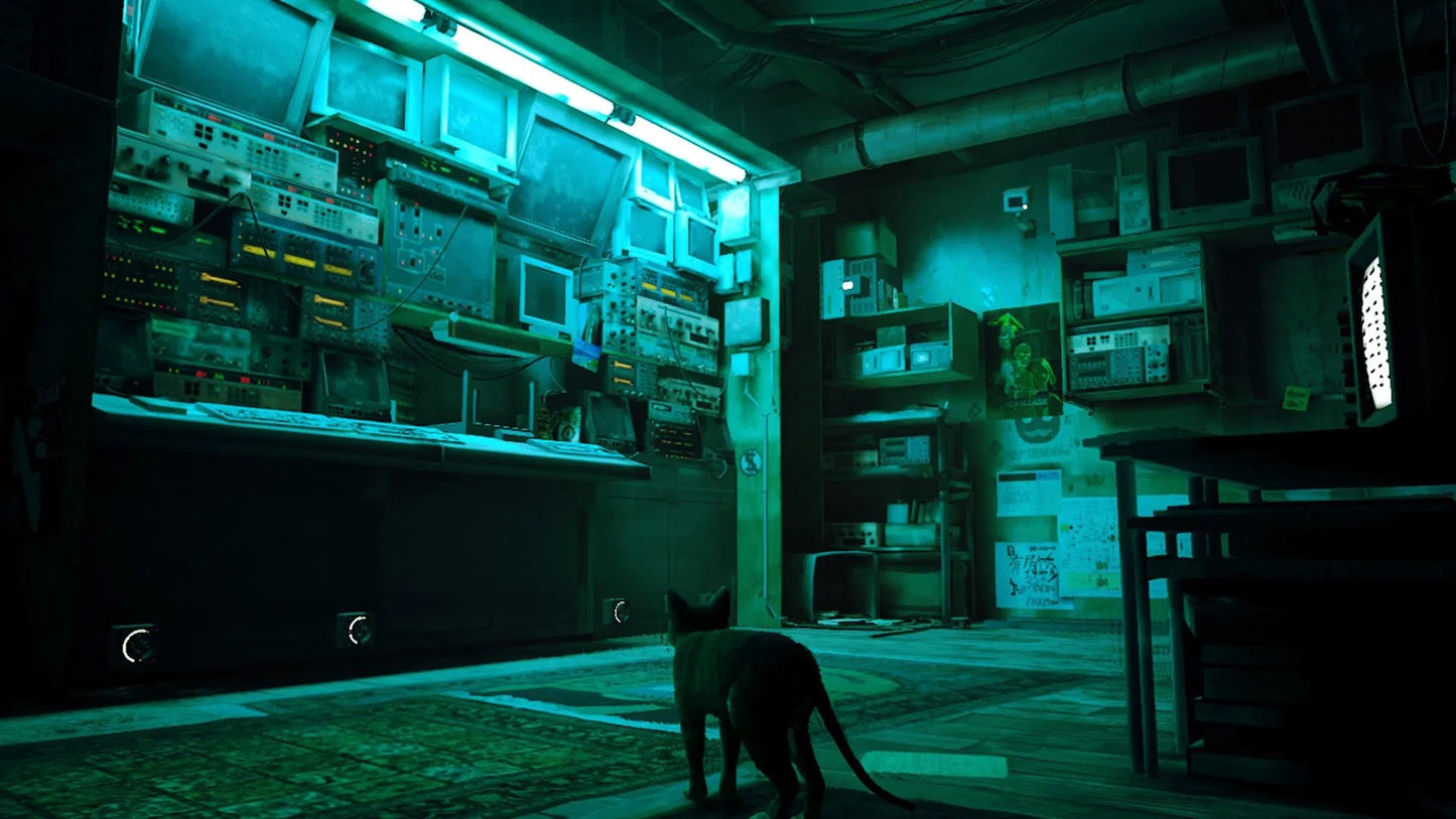 Nintendo Switch Stray (Europe / English)