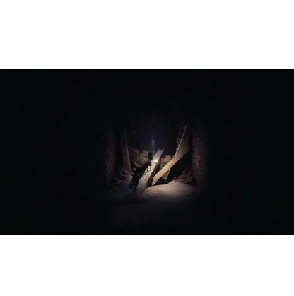 PS5 Reanimal (English) Playstation 5