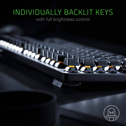 RAZER BlackWidow Lite | Silent Mechanical Switches | Individually Backlit Keys | Compact Form Factor | Programmable Keys | Configurable via Razer Synapse 3 | Wired RGB Gaming Keyboard