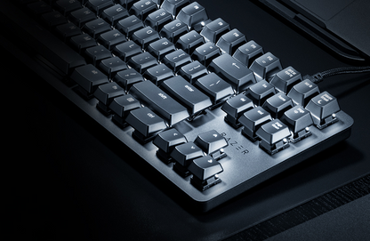 RAZER BlackWidow Lite | Silent Mechanical Switches | Individually Backlit Keys | Compact Form Factor | Programmable Keys | Configurable via Razer Synapse 3 | Wired RGB Gaming Keyboard