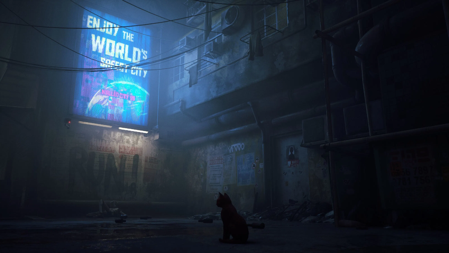 PS5 Stray (R1 / North America / Multi-Language) PlayStation 5