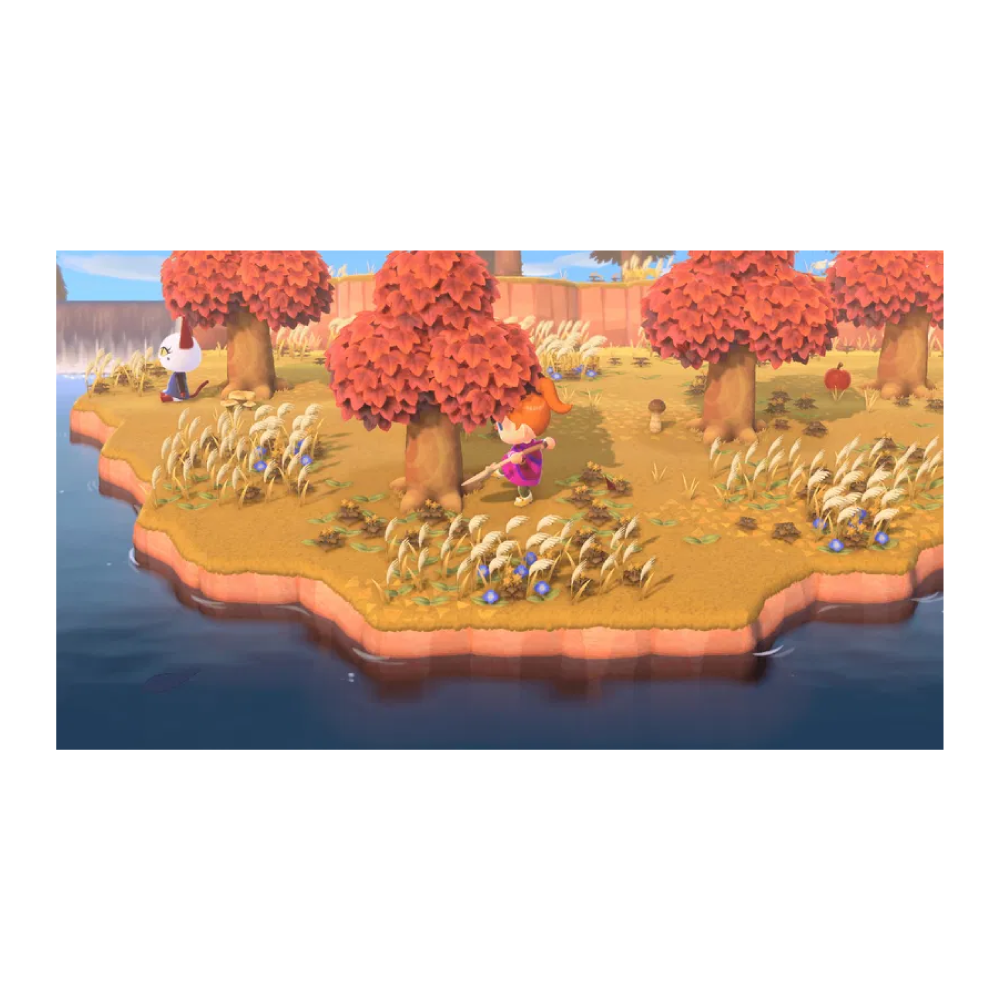 Nintendo Switch 2 Animal Crossing: New Horizons