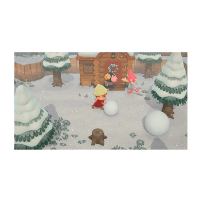 Nintendo Switch 2 Animal Crossing: New Horizons