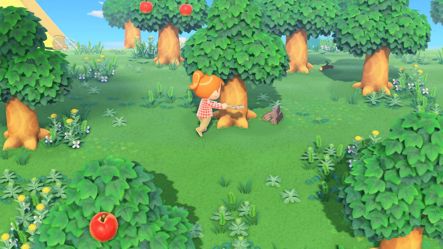 Nintendo Switch Animal Crossing: New Horizons (Asia / English)