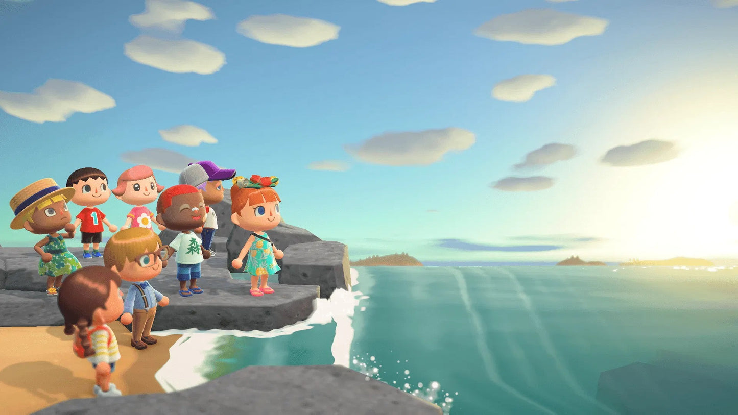 Nintendo Switch Animal Crossing: New Horizons (Asia / English)
