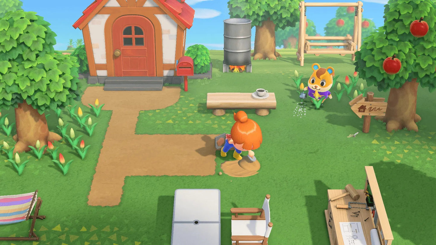 Nintendo Switch Animal Crossing: New Horizons (Asia / English)