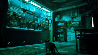 Nintendo Switch Stray (Europe / English)