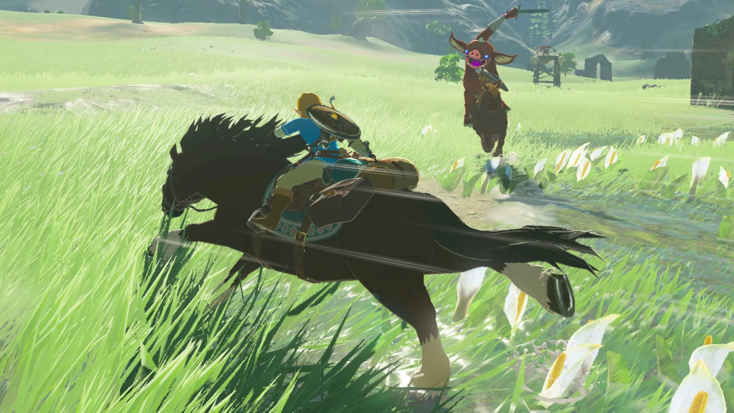 Nintendo Switch The Legend Of Zelda: Breath Of The Wild (US / English)