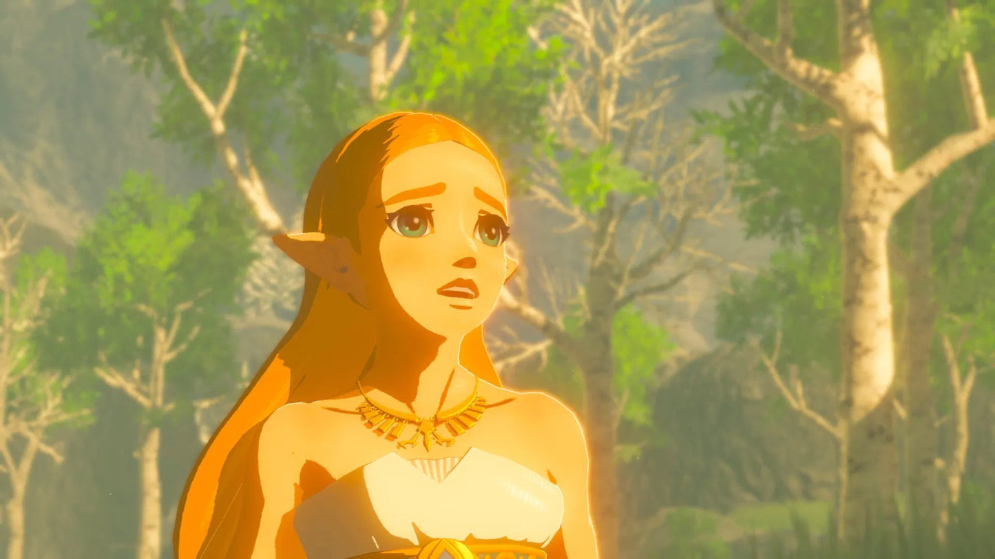 Nintendo Switch The Legend Of Zelda: Breath Of The Wild (US / English)