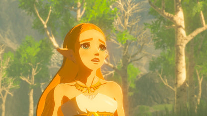 Nintendo Switch The Legend Of Zelda: Breath Of The Wild (US / English)